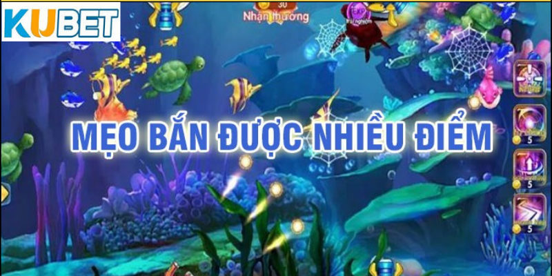 Những Lưu Ý Khi Chơi Bắn Cá Jackpot