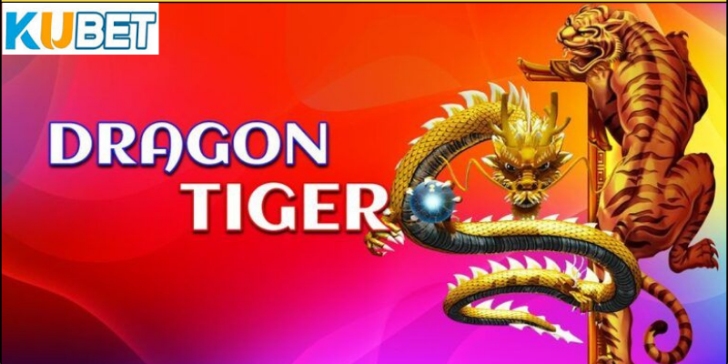 Những lưu ý quan trọng khi chơi bài rồng hổ